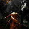 The Forest Steam Gift