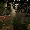 The Forest Steam Gift