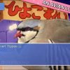 1-1024_2302 Hatoful Boyfriend Steam CD Key