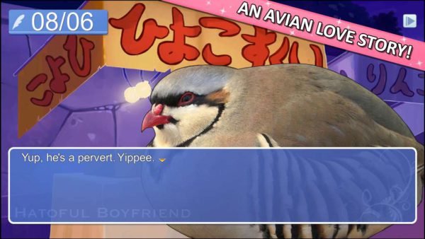 1-1024_2302 Hatoful Boyfriend Steam CD Key