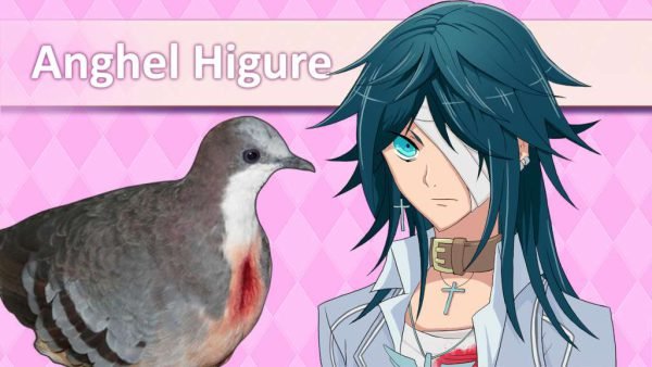 5-1024_2133 Hatoful Boyfriend Steam CD Key