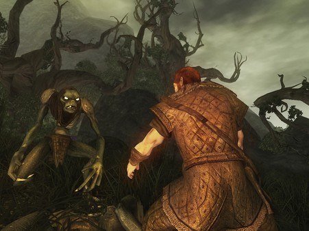 5_1972 Risen PC Steam CD Key