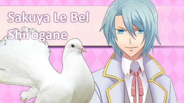 6-1024_1869 Hatoful Boyfriend Steam CD Key