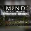 MINDPTTEE-ss-800 Mind: Path to Thalamus PC Steam CD Key