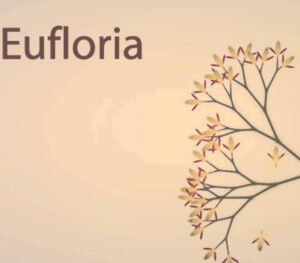 euf_800_4 Eufloria HD Steam CD Key