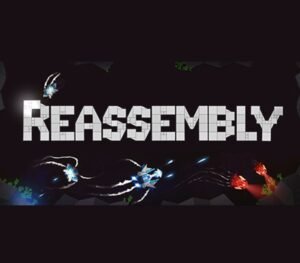 reass8 Reassembly Steam CD Key