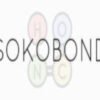 sokohi Sokobond PC Steam CD Key