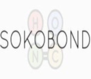sokohi Sokobond PC Steam CD Key