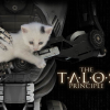 The Talos Principle PC Steam CD Key