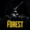 The Forest Steam Gift