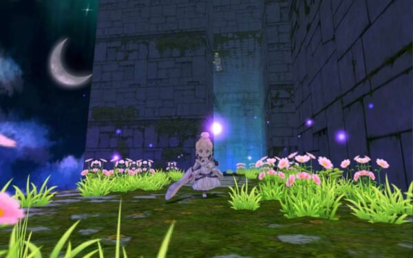 6-1024_4004 Forward to the Sky PC Steam CD Key